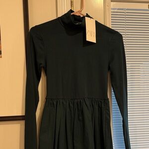 ZARA Long-Sleeve Turtleneck Gathered-Waist Dress